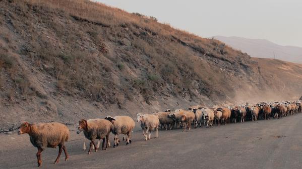 Travel blogger Becki Enright explores Georgia and Armenia—two countries shedding their collective Soviet-era past and jockeying for position on the bucket lists of today's travellers.