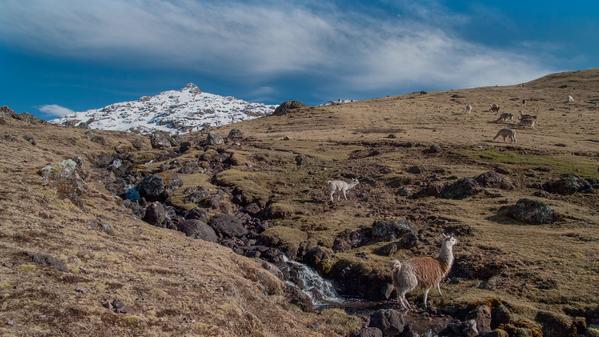 G Adventures photographer and art director Leonardo Tamburri takes us through the Lares Valley, not only to capture its unique landscapes, but to offer insight into this remote and rarely visited region.