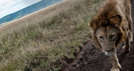 Tanzania to Zanzibar: White Sands & the Wilderness