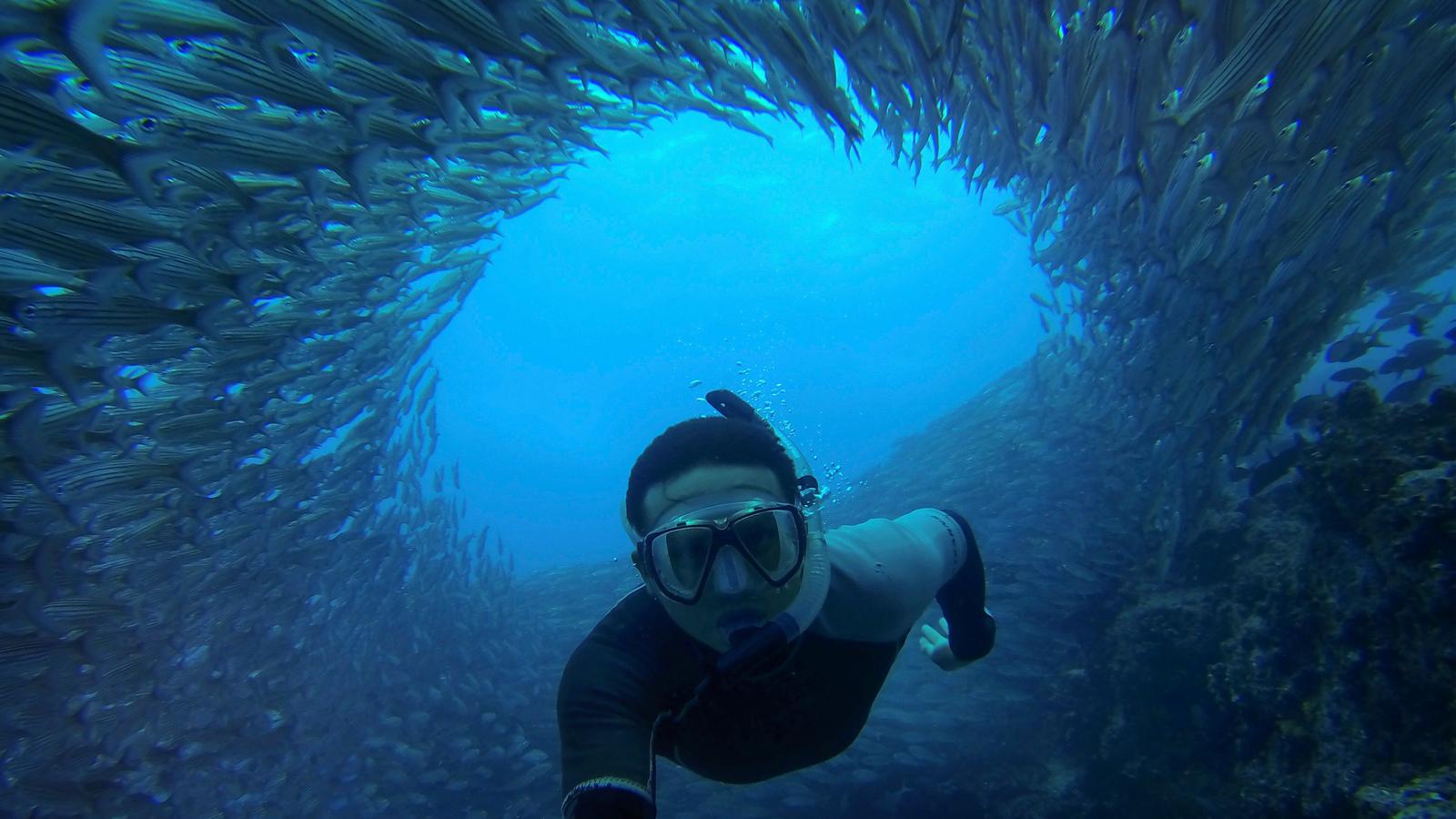 A traveller taking an underwater selfie while snorkelling through a school of fish in the Galapagos