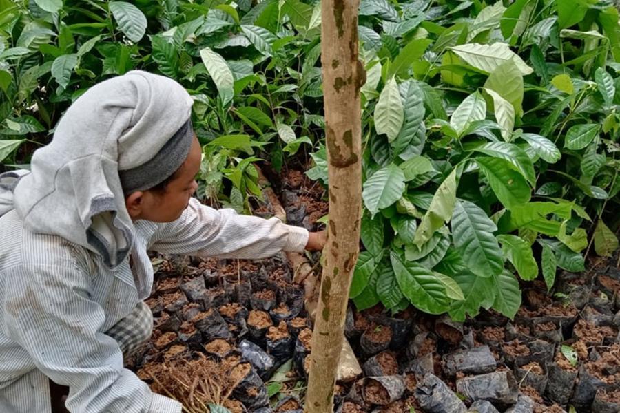 Tribes and Natures Defenders is an example of a collective force aiming to fight climate change and restore Indigenous wildlife