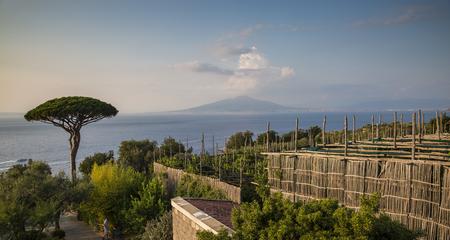 Local Living Italy—Sorrento