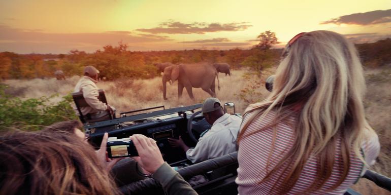 Journeys: Explore Kruger National Park tourhub | G Adventures | Journeys: Explore Kruger National Park