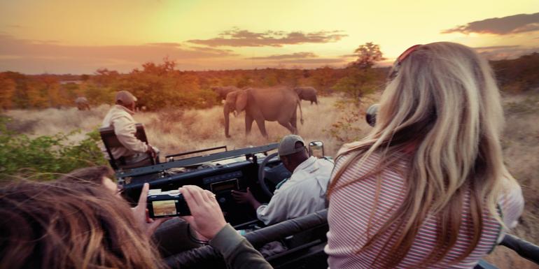 tourhub | G Adventures | Journeys: Explore Kruger National Park 