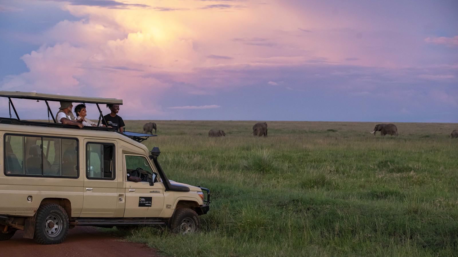 Journeys: Tanzania Safari Experience