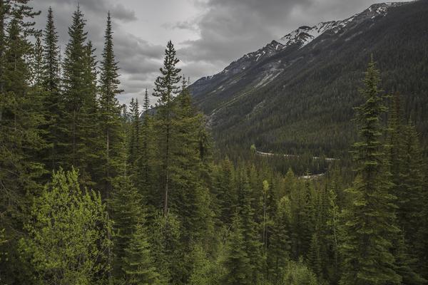 Did you know the area contains an estimated 1.5 million lakes?