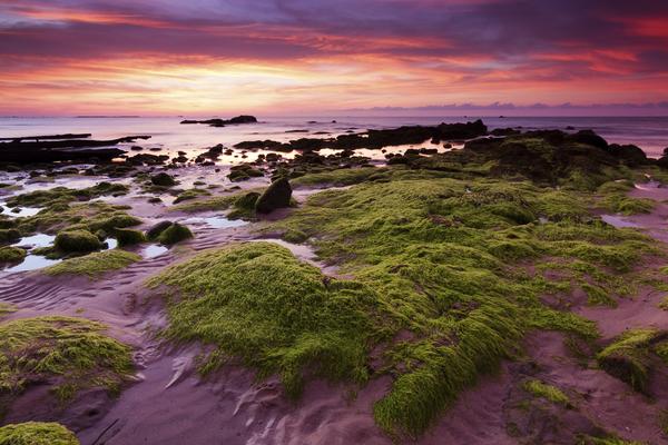 Here's where to dive in and enjoy turquoise waters, bright reefs, and amazing wildlife