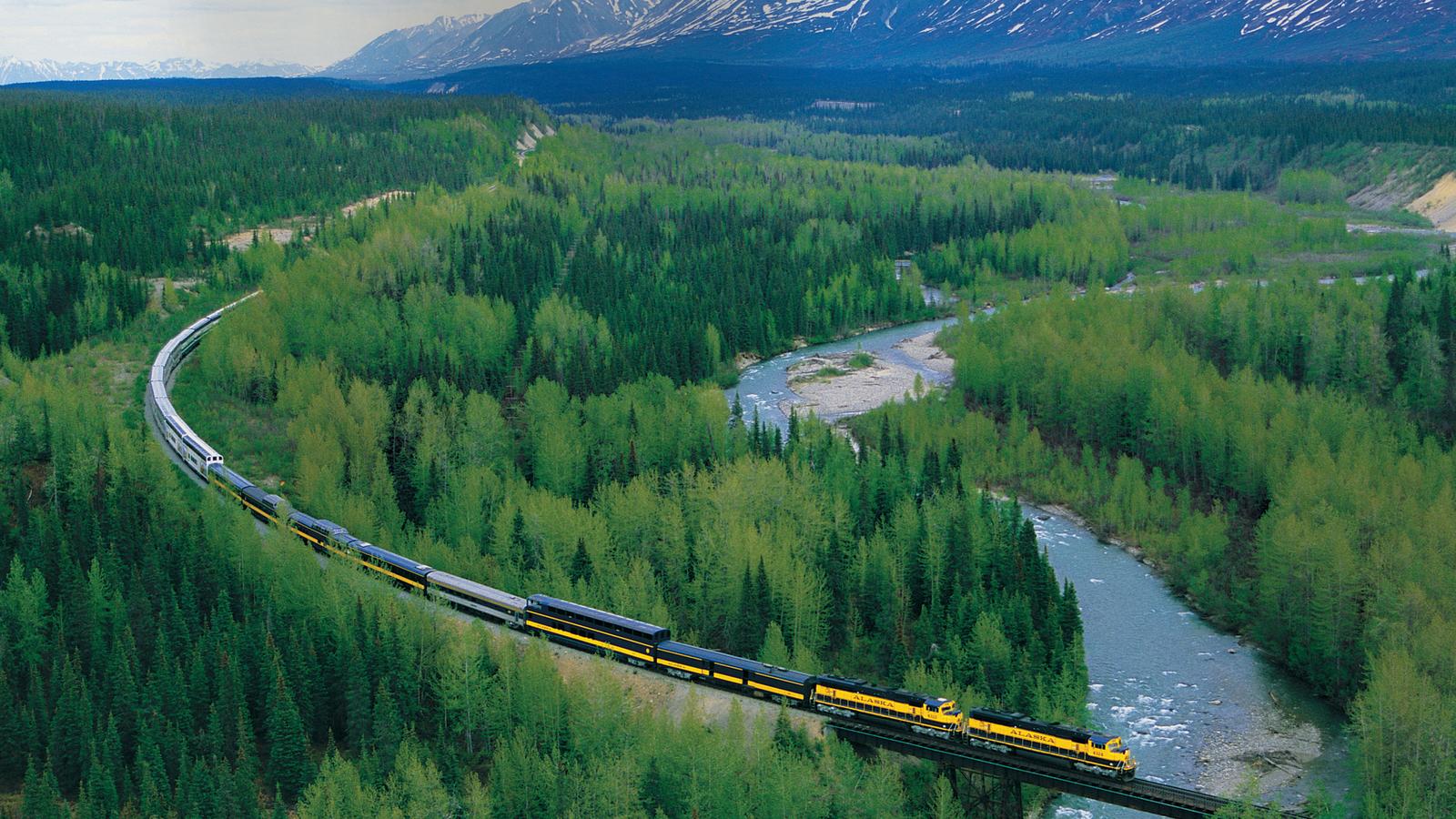 Train running through a massive forest