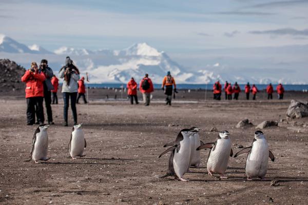 Discover seven incredible ways to experience the raw, untamed power of Antarctica — the so-called ‘Frozen Continent’