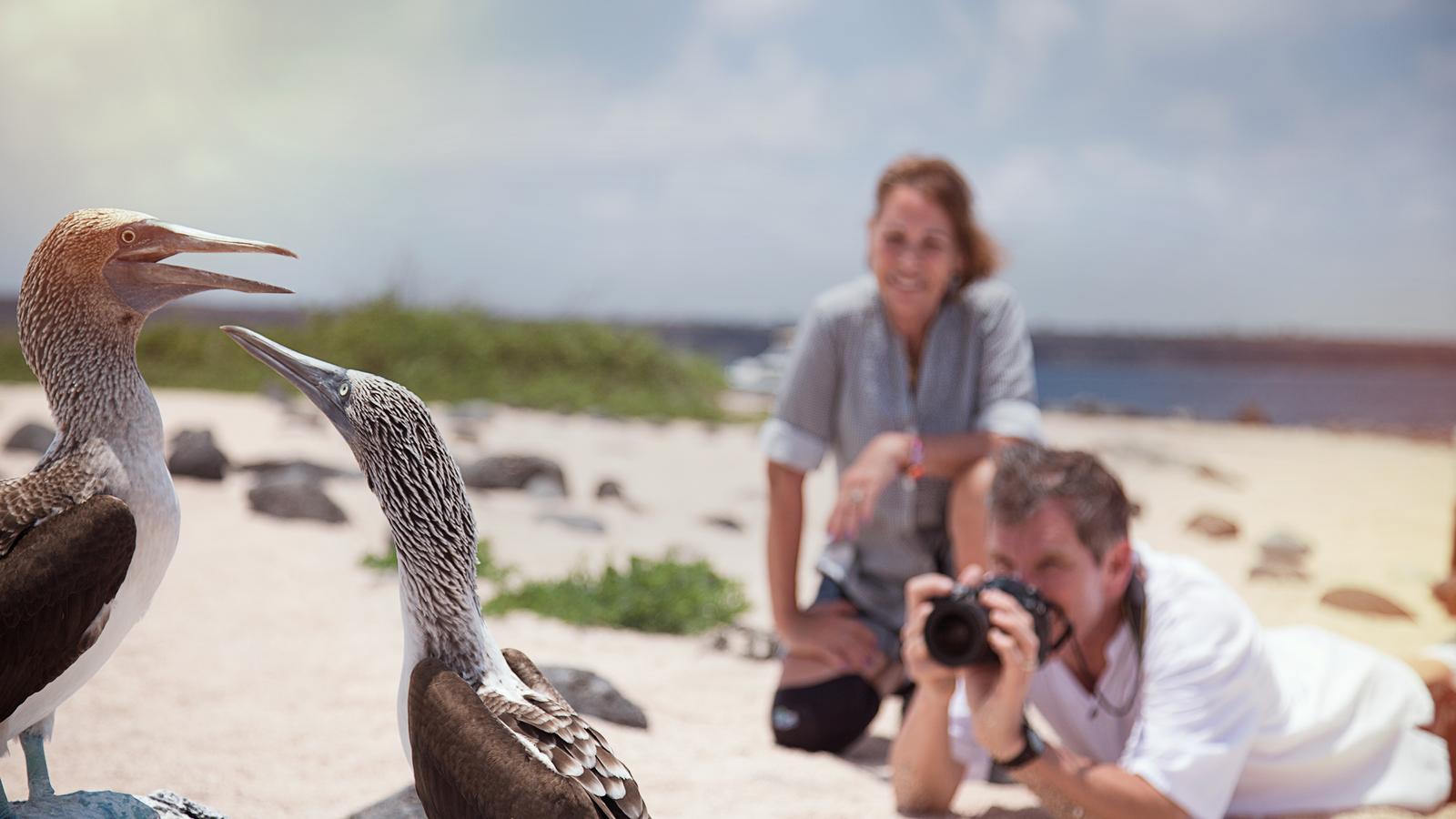 Travellers get up close to photograph two blue footed boobies