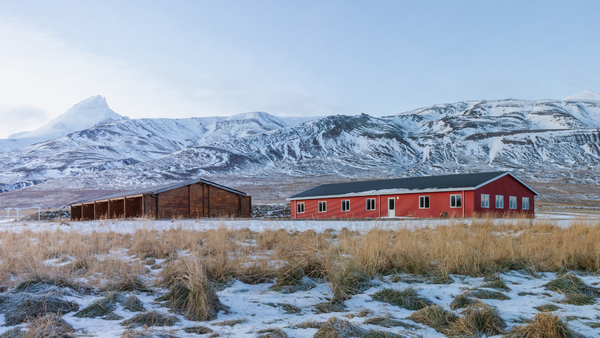 The Nordic nation isn't known for its grub — but it should be