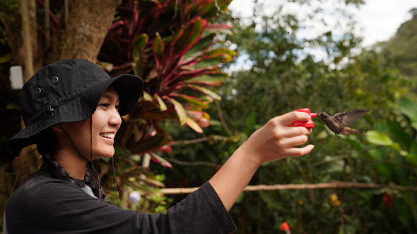 Wondering where to go in Ecuador? Here are your best bets to bring on an unforgettable experience