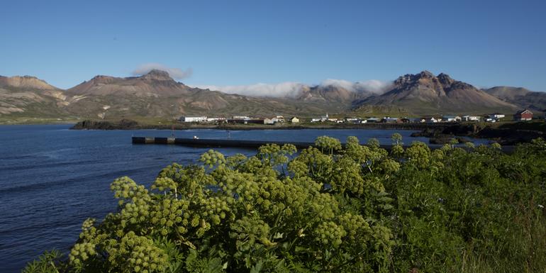 Local Living Iceland- Bakkagerði