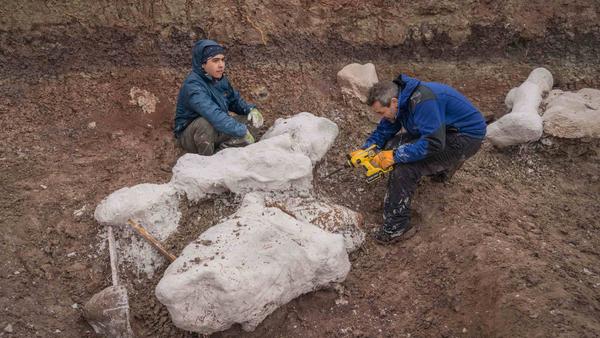 Diego Pol fell in love with Patagonia at age 12, and for over 25 years, has been conducting research in the region as a paleontologist