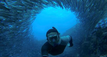 Galápagos – Central and East Islands aboard the Integrity