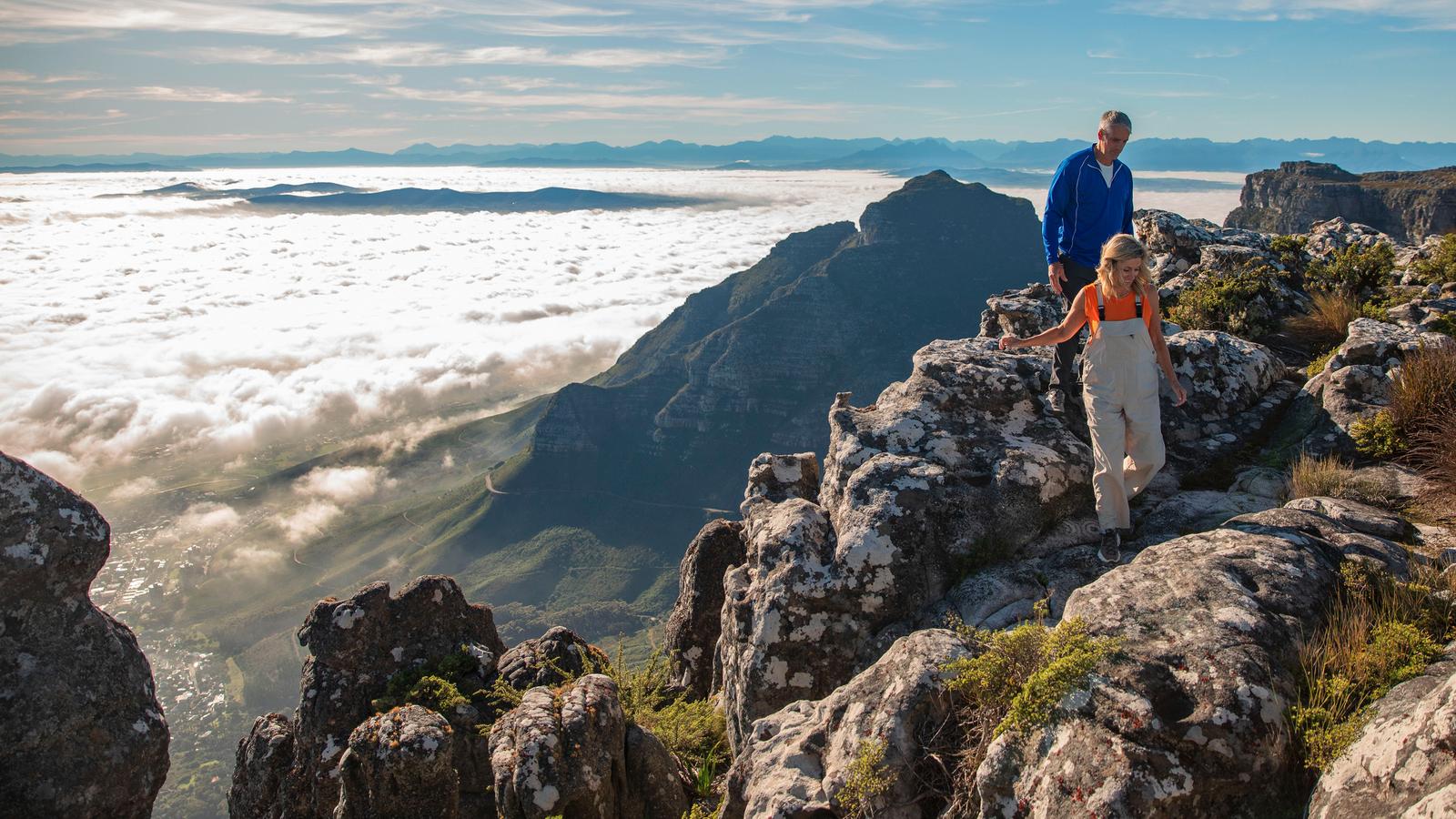South Africa: Kruger Wildlife Tracking & Vineyards