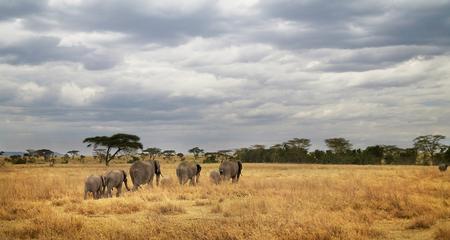 Tanzania Camping Adventure