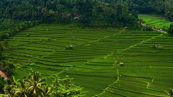Idols of gold, mist-shrouded mountains and incredible wildlife—join our travellers as they unearth a few of the secrets waiting to be discovered in South East Asia.