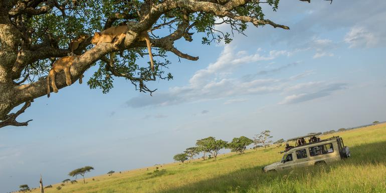 Southern Tanzania Safari