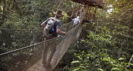 Amazon to the Andes