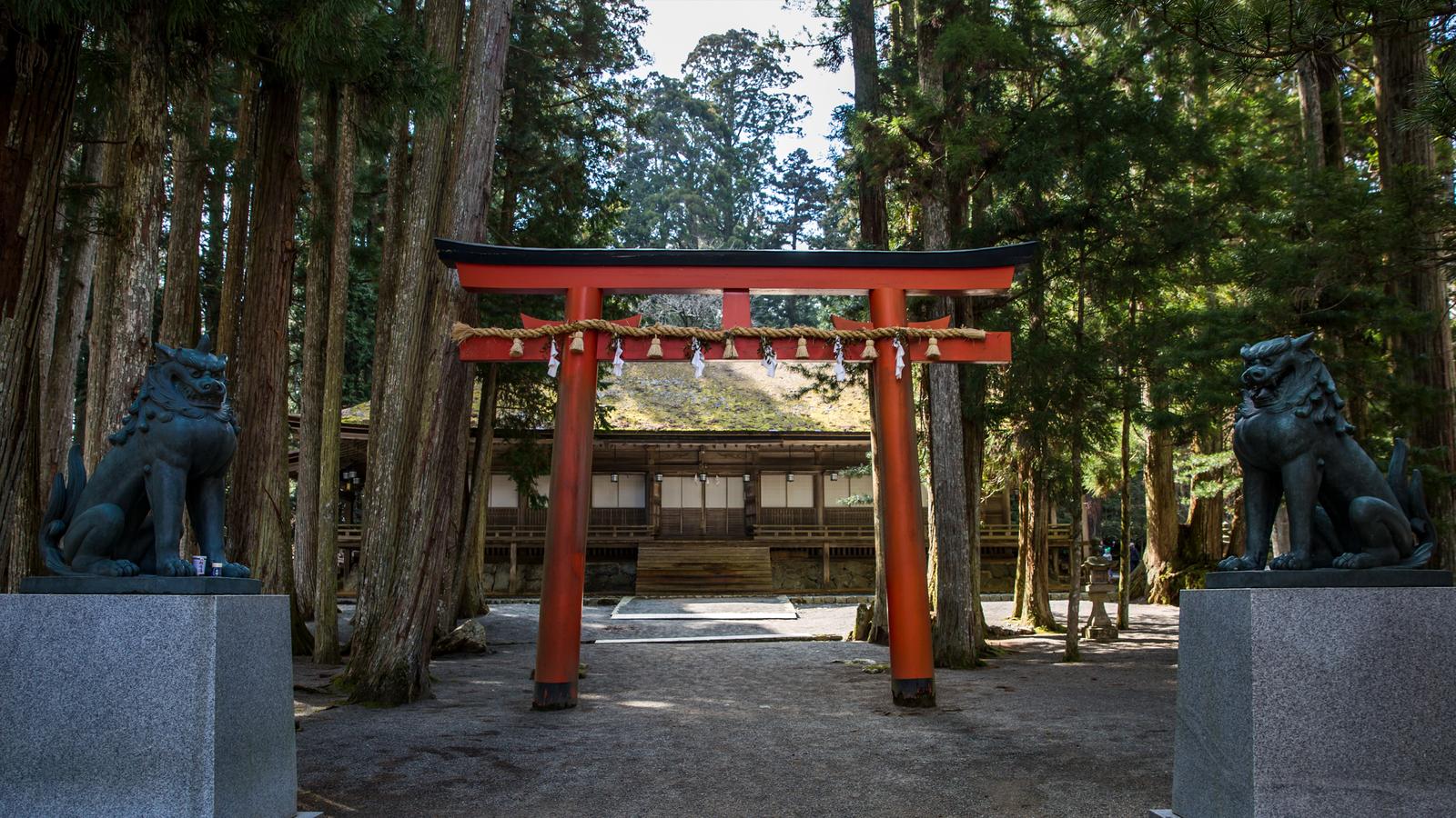 Japan Express - Osaka to Tokyo