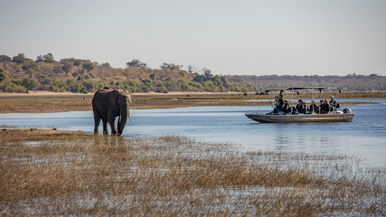 Complete Botswana: National Parks & Delta Wildlife