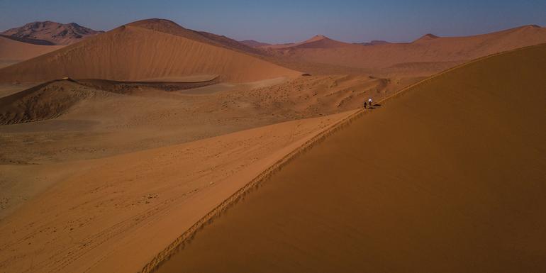 Cape & Dunes Northbound: Wildlife & Starry Night Skies