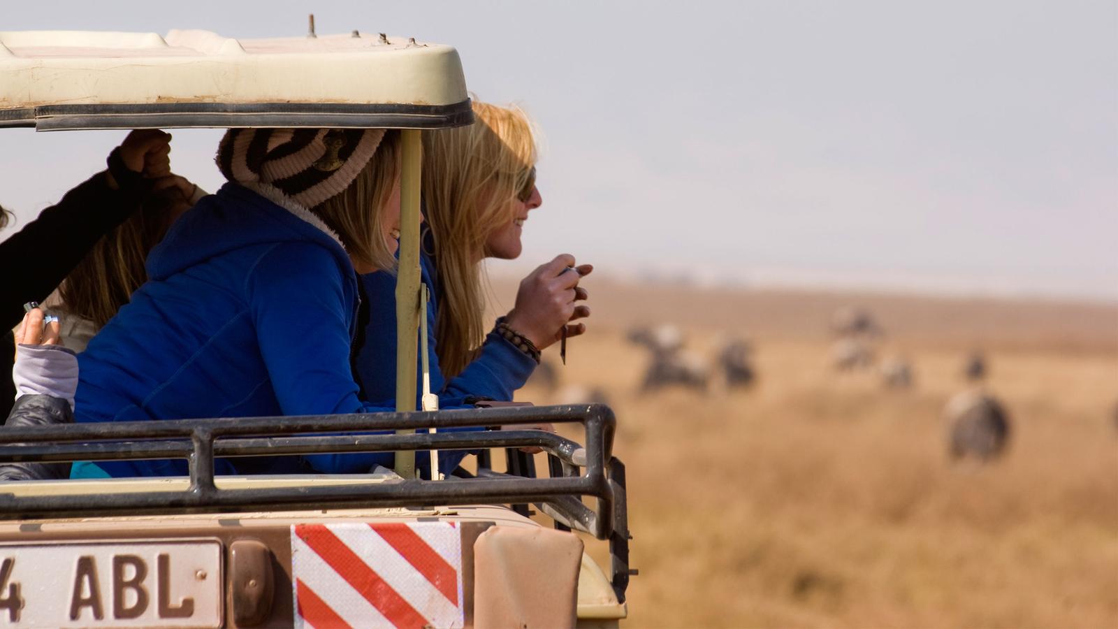 Travellers taking in the incredible wildlife