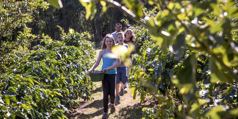 Costa Rica Family Journey: From Rainforest to Coast tourhub | G Adventures | Costa Rica Family Journey: From Rainforest to Coast