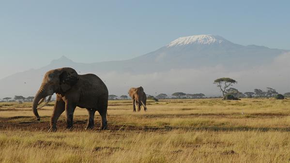 Planning on hiking Kilimanjaro someday? Wondering how close your expectations are to the reality of actually being there? Follow along with G Adventures' own Stephanie Lipton as she plays “Hiking Kilimanjaro: Expectations vs Reality.”