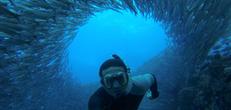 Galapagos Land & Sea Central & East Islands aboard the Monserrat