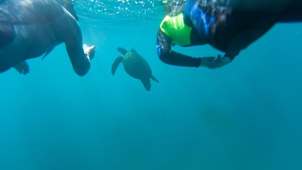 Dive into some Galápagos trivia with Wanderer-in-Residence Gary Arndt.