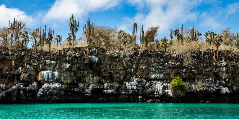 Abenteuer auf den Galápagos-Inseln - Schnorcheln & Seelöwen