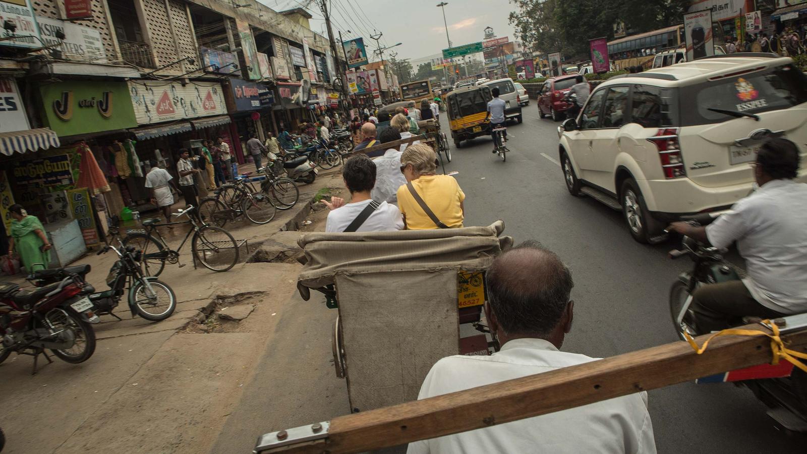 Delhi Day Tour: Cycle Qutab Minar and Meharuli (half day)