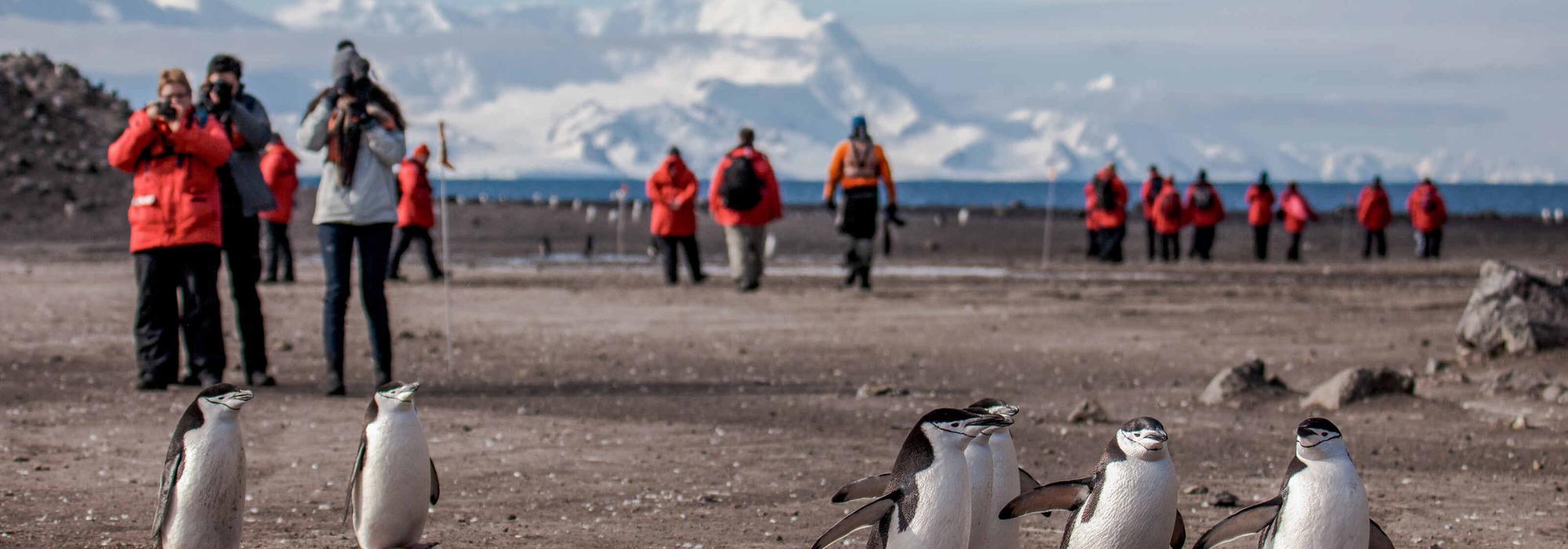 Discover seven incredible ways to experience the raw, untamed power of Antarctica — the so-called ‘Frozen Continent’