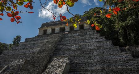 Mayan Trail