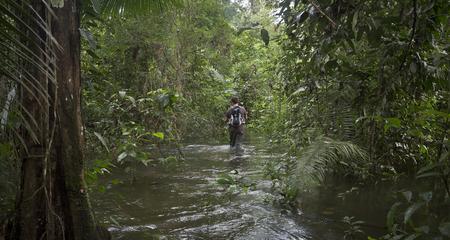 Inland & Amazon