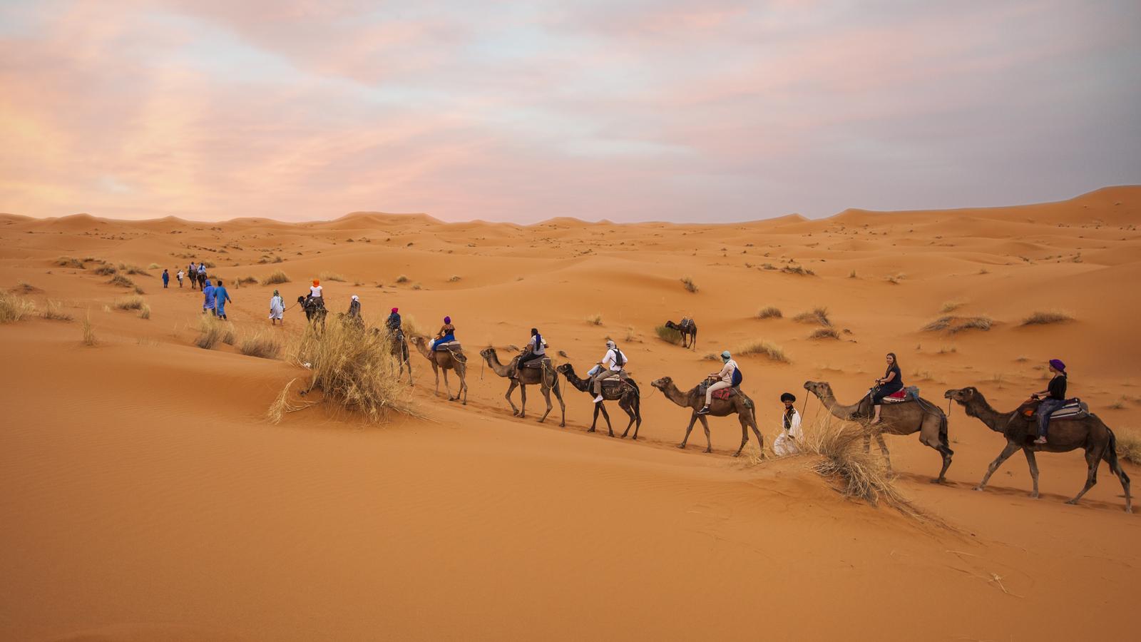 Moroccan Desert Adventure in Morocco, North Africa / Middle East - G Adventures