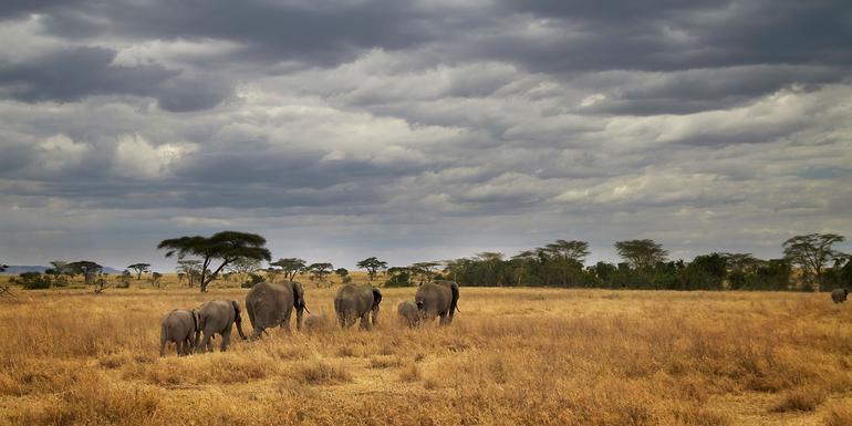 Masai & Tansania Camping-Safari
