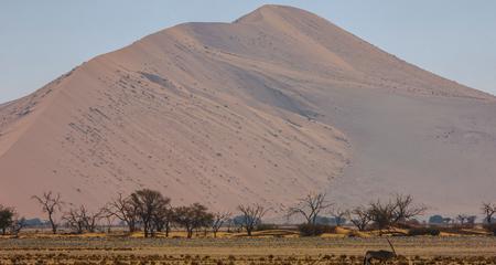 Best of Cape Town, Kruger & Namibia