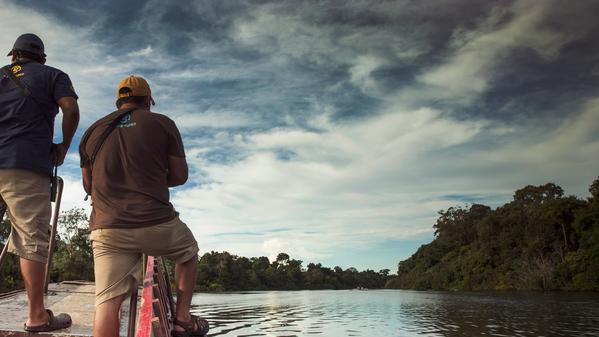Travel blogger Michael Turtle travels to the depths of Peru’s Amazon jungle to see these creatures in the wild.
