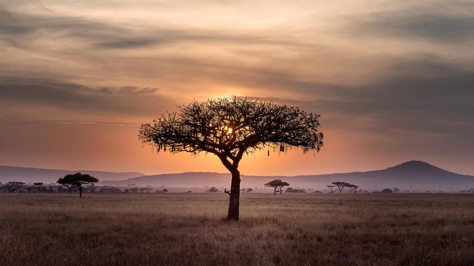 Signature: Tanzania’s Serengeti, Tarangire & Ngorongoro Crater