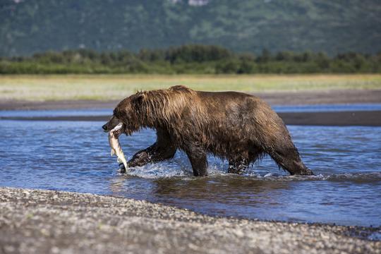 adventure tours alaska and canada