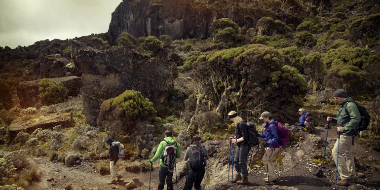 Mt Kilimanjaro Trek - Machame Route (8 Days)