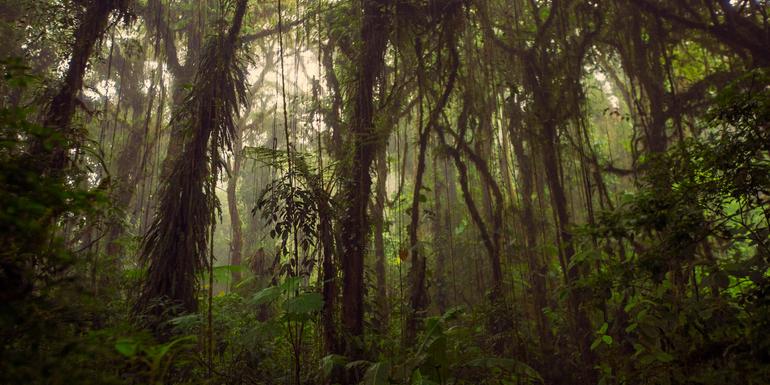 Journeys: Highlights of Costa Rica tourhub | G Adventures | Journeys: Highlights of Costa Rica