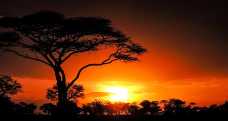Nairobi to Zanzibar: Serengeti & Sunsets