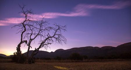 Highlights of Cape Town and Kruger