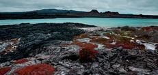Galapagos North, Central & South Islands aboard the Estrella del Mar