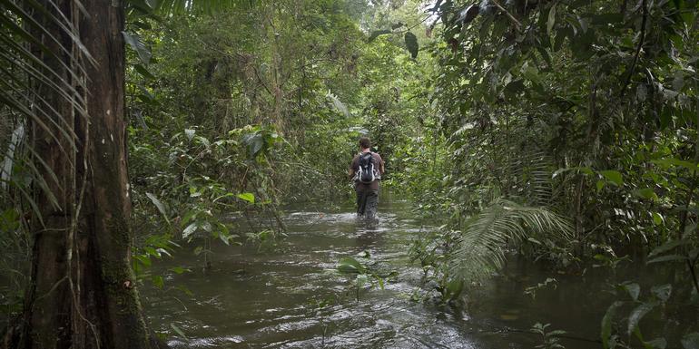 tourhub | G Adventures | Inland & Amazon 