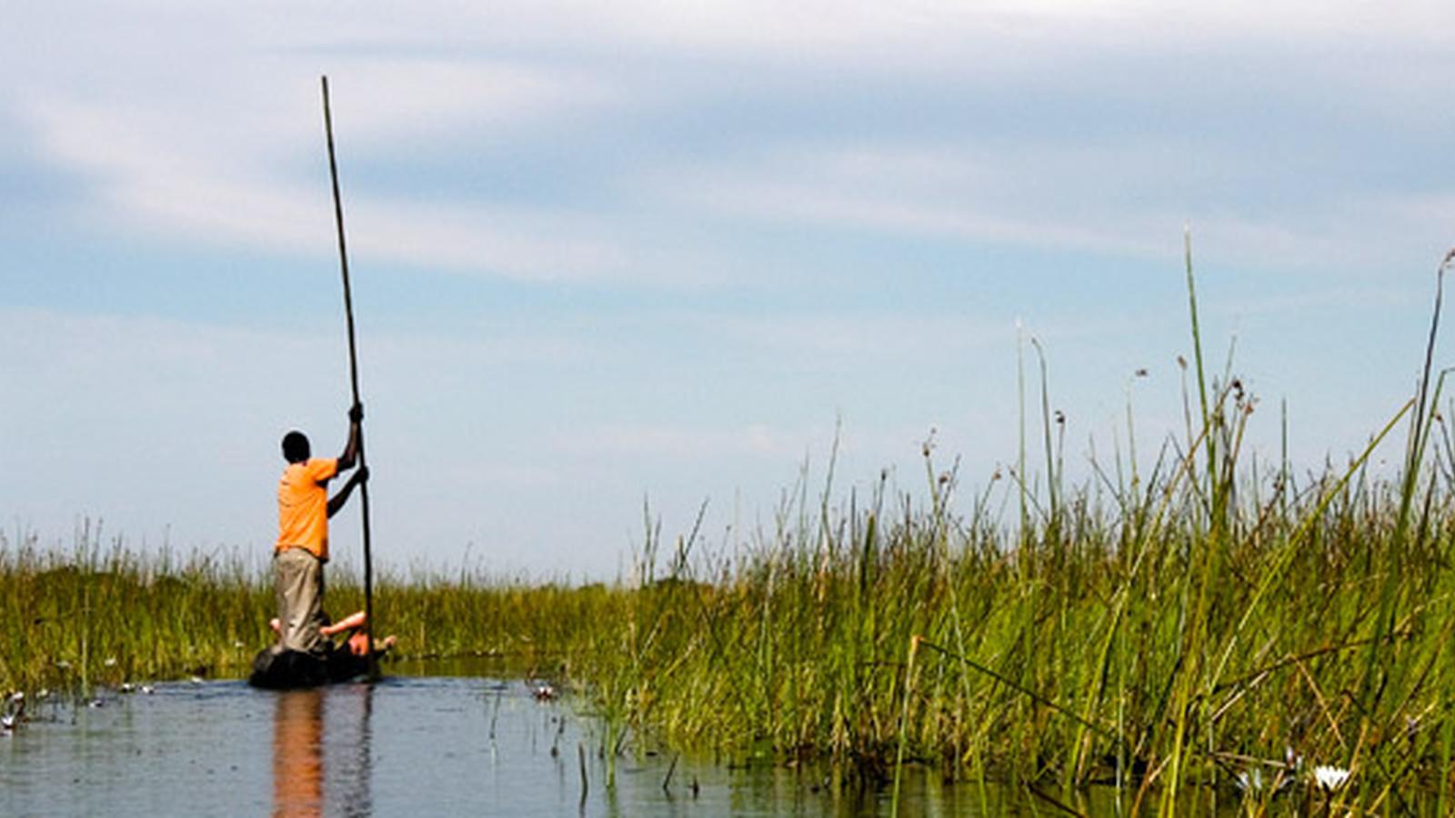 Botswana & Vic Falls Safari